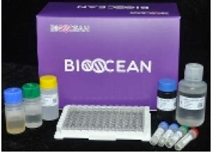 abcam rhk 324-01r myeloperoxidase mpo elisa kit 96w|Mouse MPO ELISA Kit (Myeloperoxidase) (ab155458) .